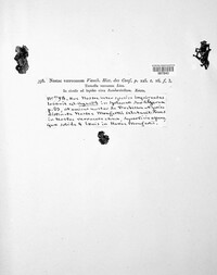 Image Associated With the Occurence